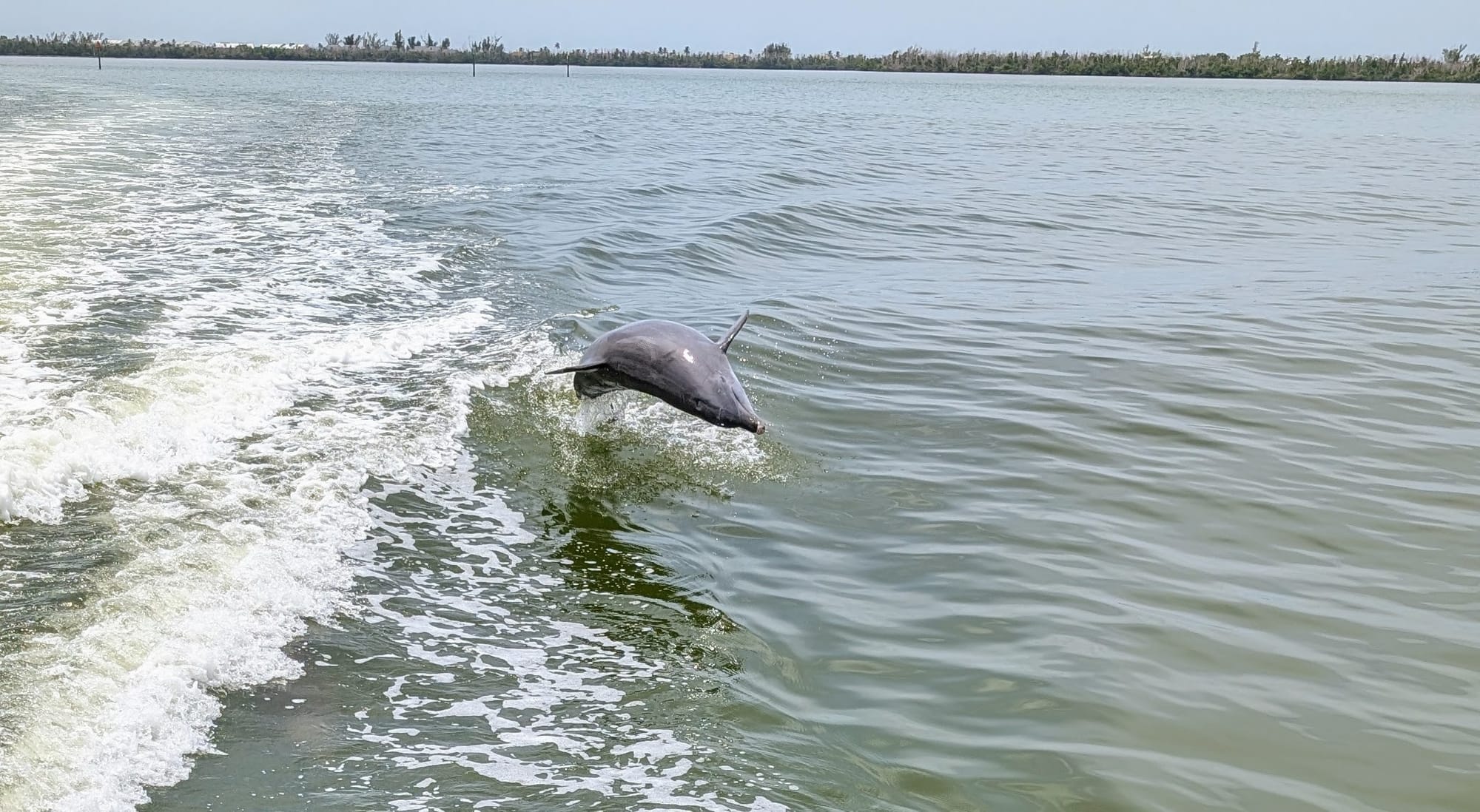 Sanibel & Captiva Island