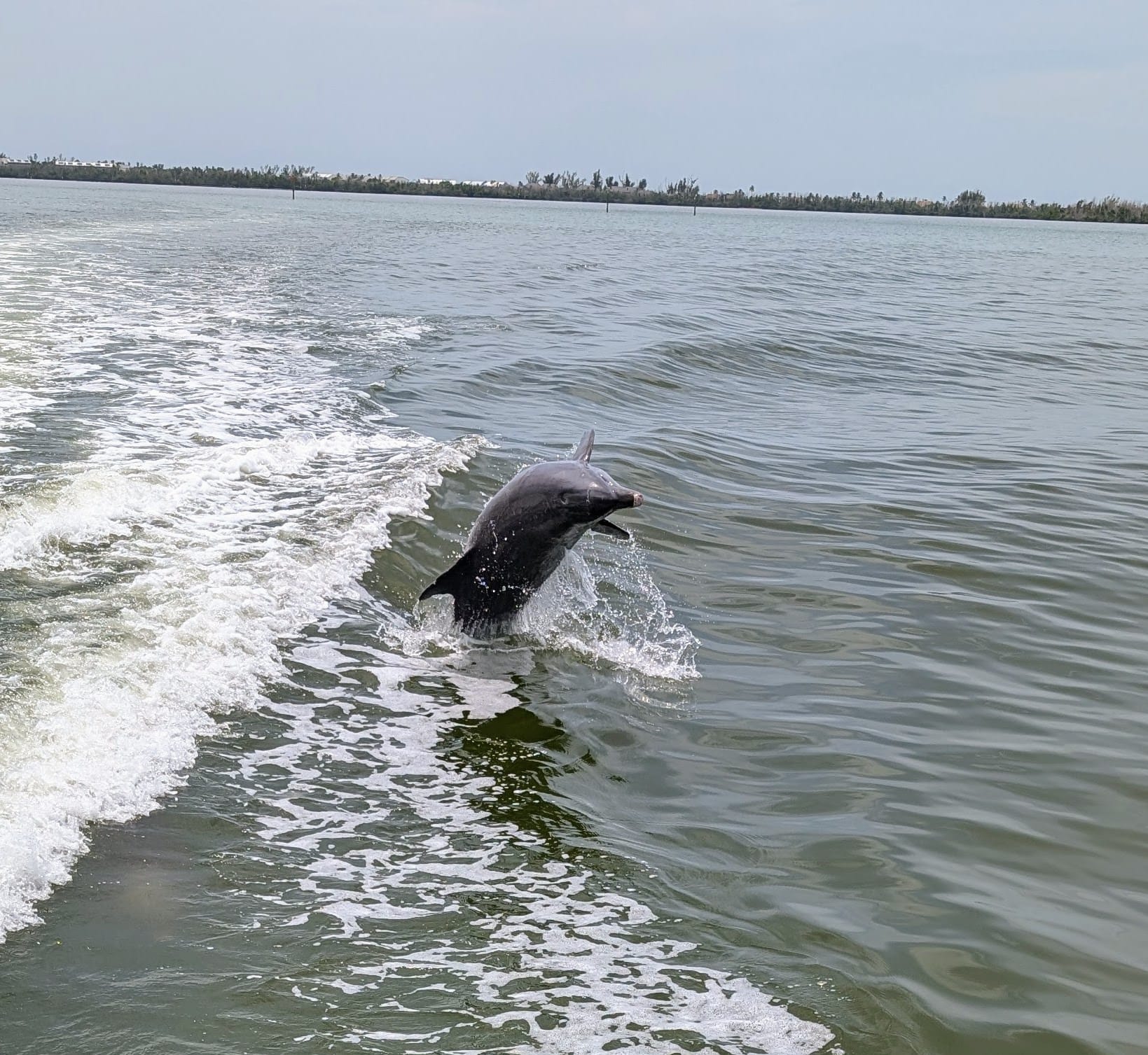 Sanibel & Captiva Island