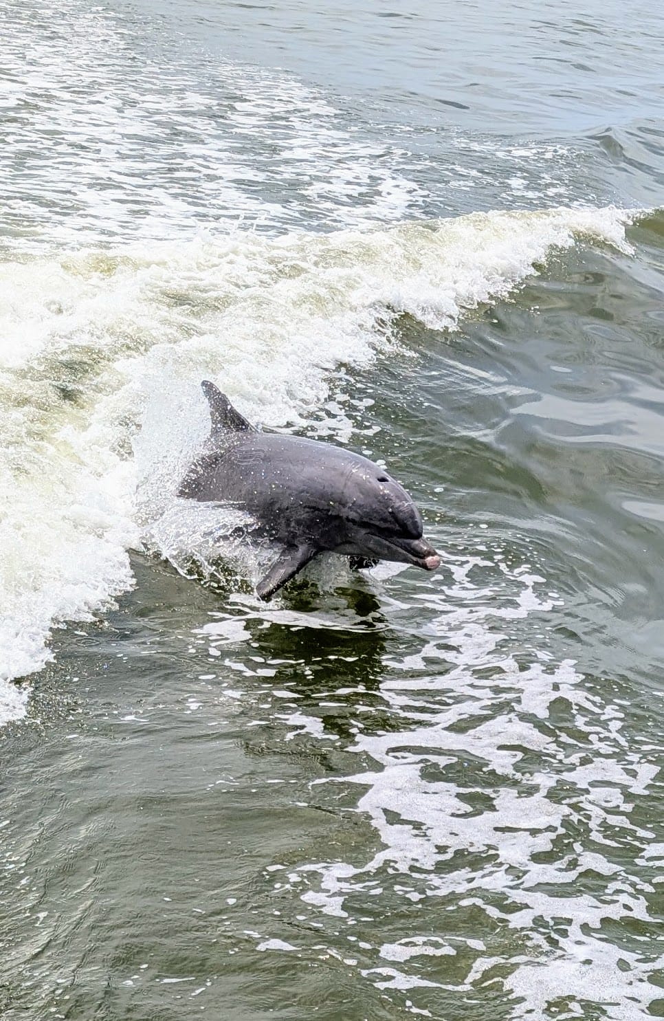 Sanibel & Captiva Island