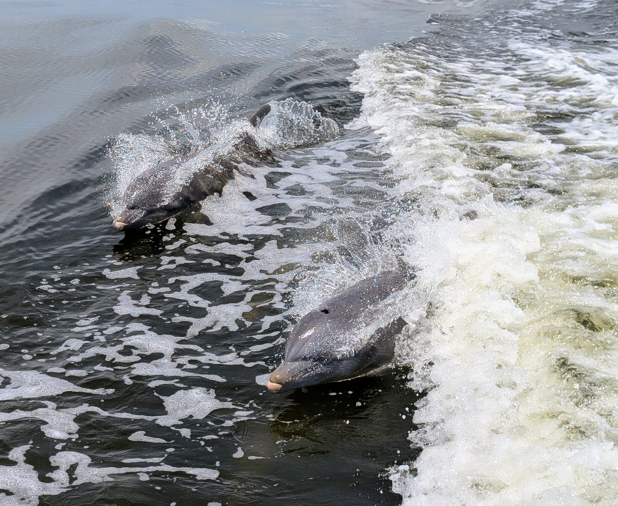 Sanibel & Captiva Island
