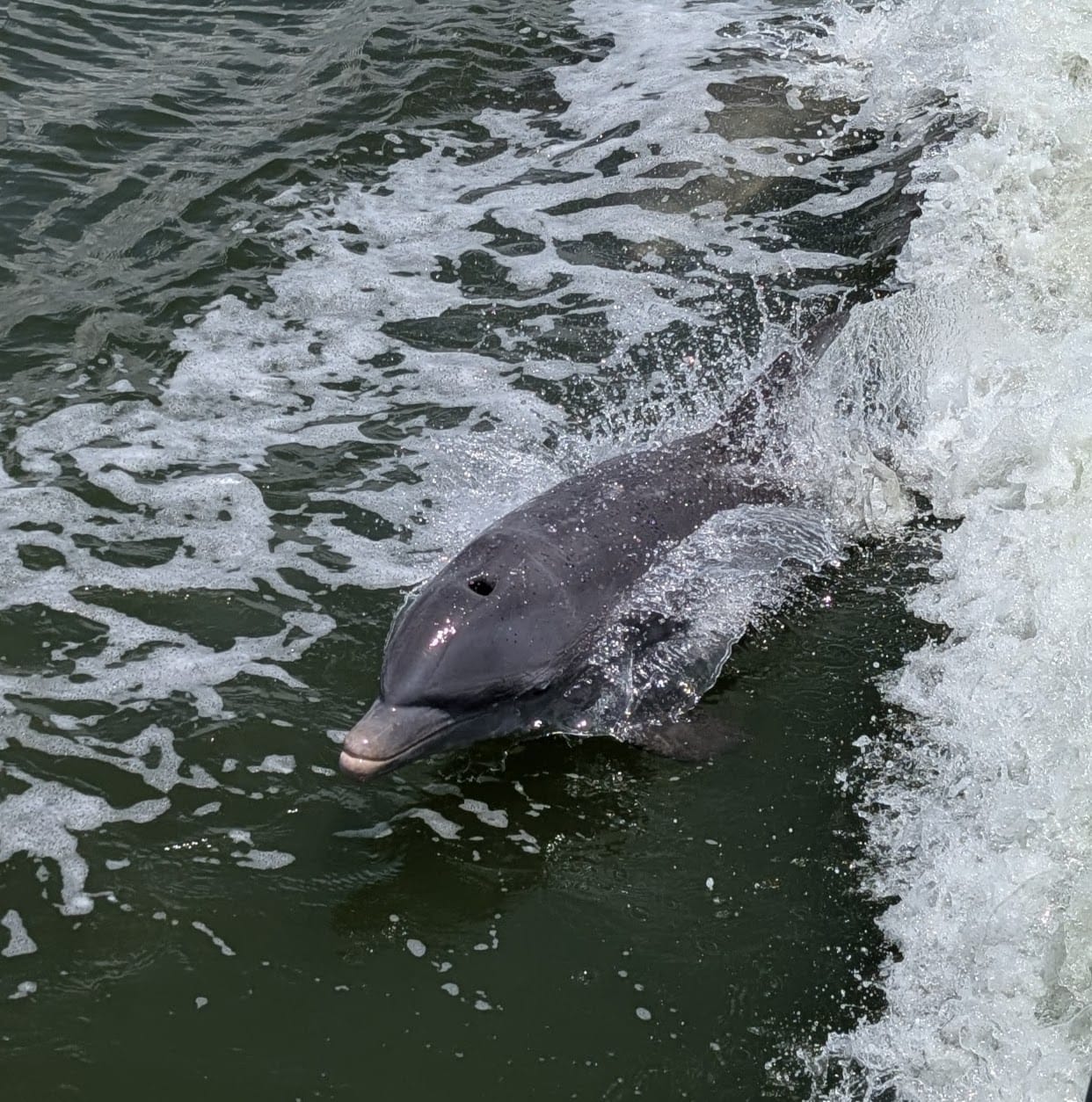 Sanibel & Captiva Island