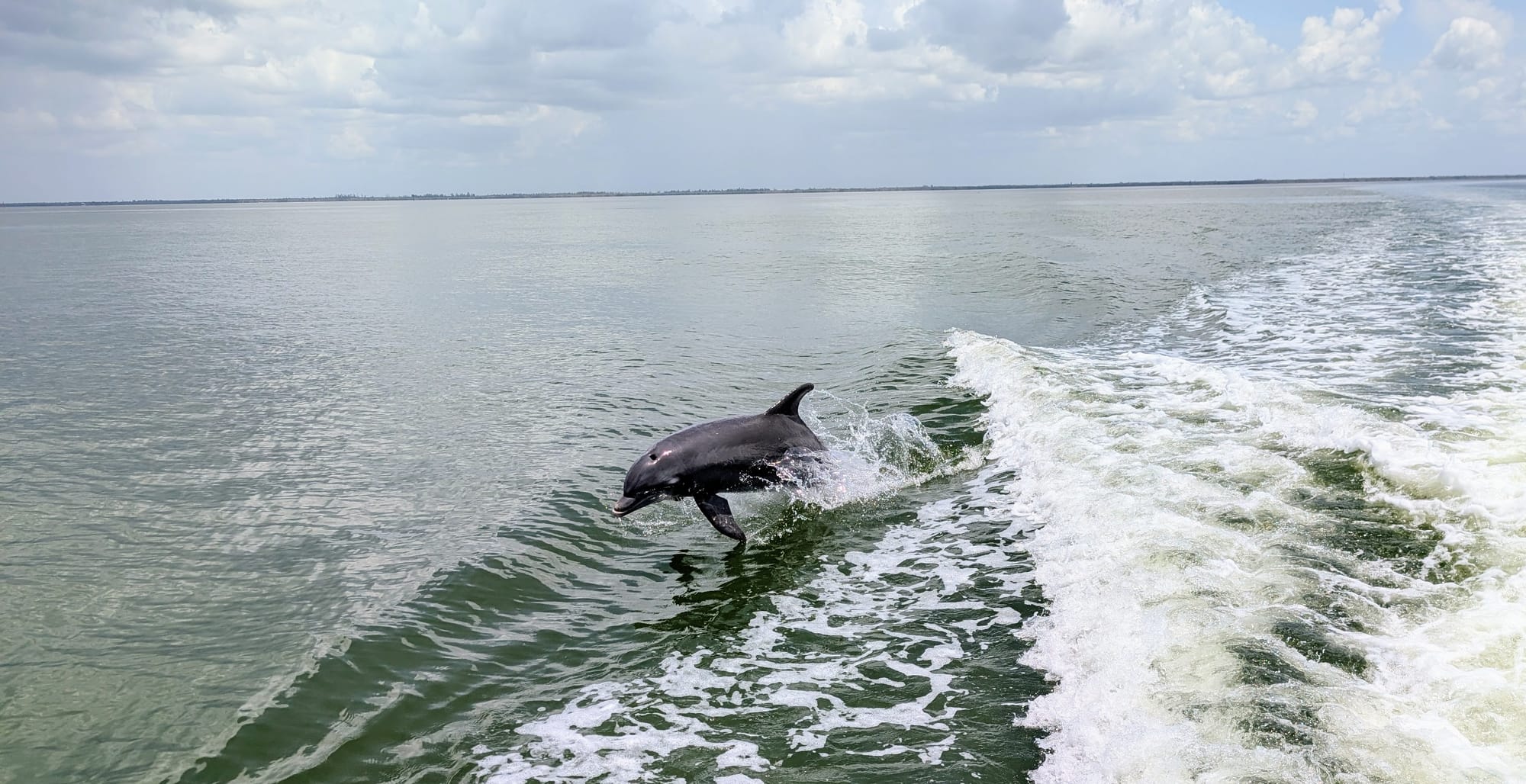 Sanibel & Captiva Island